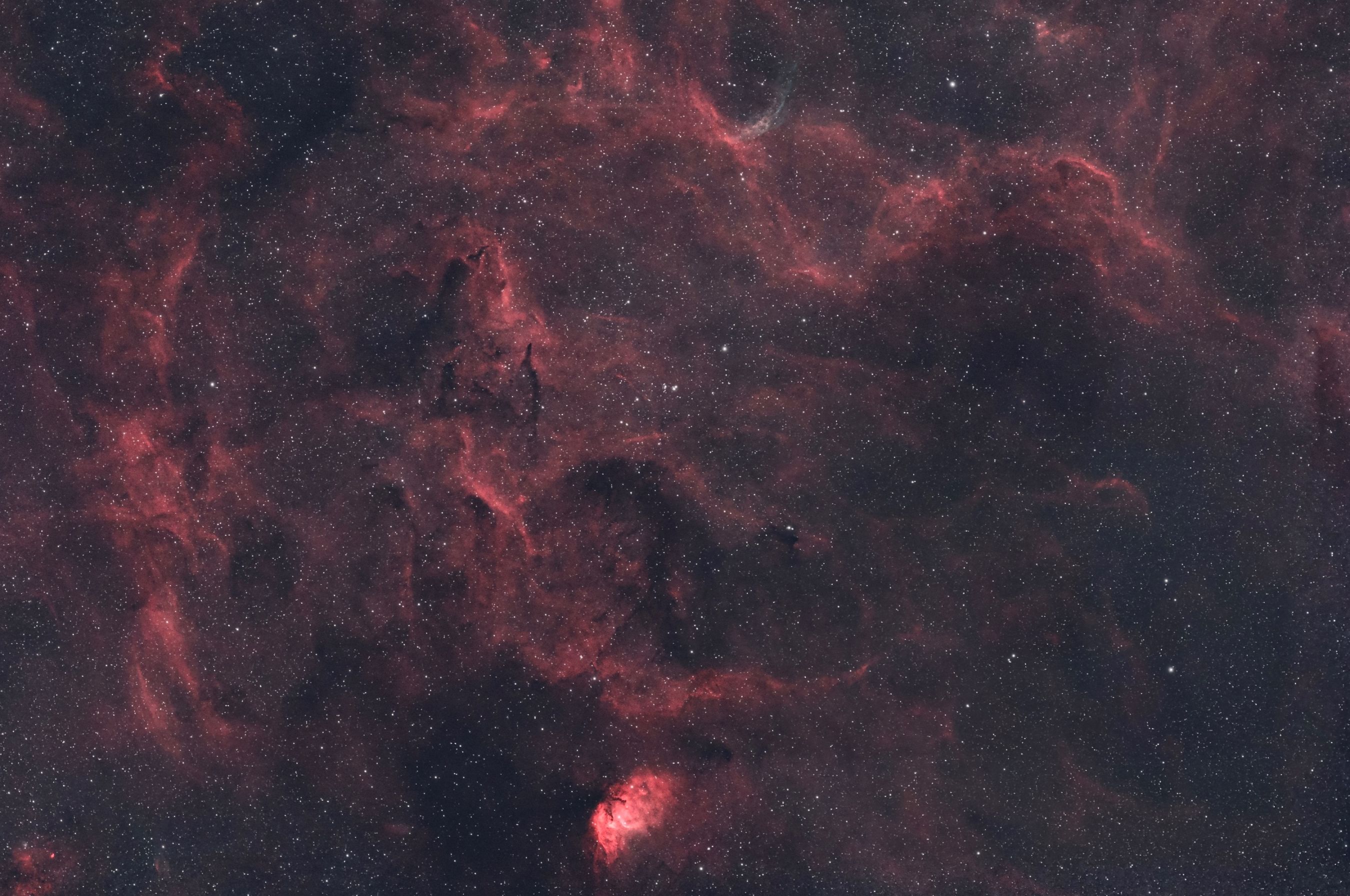 Tulip Nebula